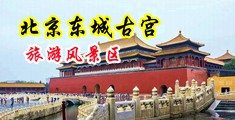 热嫩屄獊视频中国北京-东城古宫旅游风景区